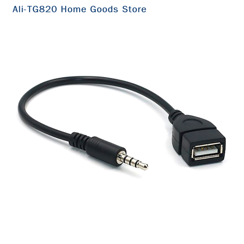 [TG820]Car MP3 Player Converte - Cable Extension 3.5 recensione e prezzo